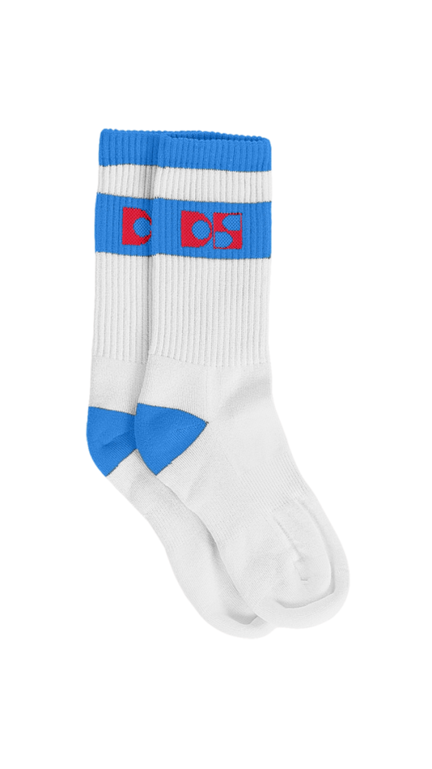 DS logo socks 10 White