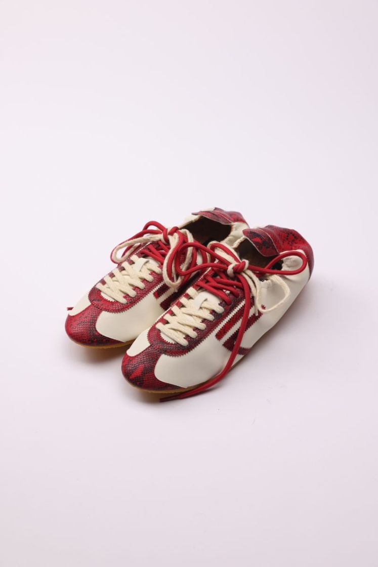 8.01 LION 005 RASPBERRY