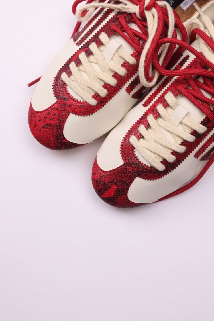8.01 LION 005 RASPBERRY