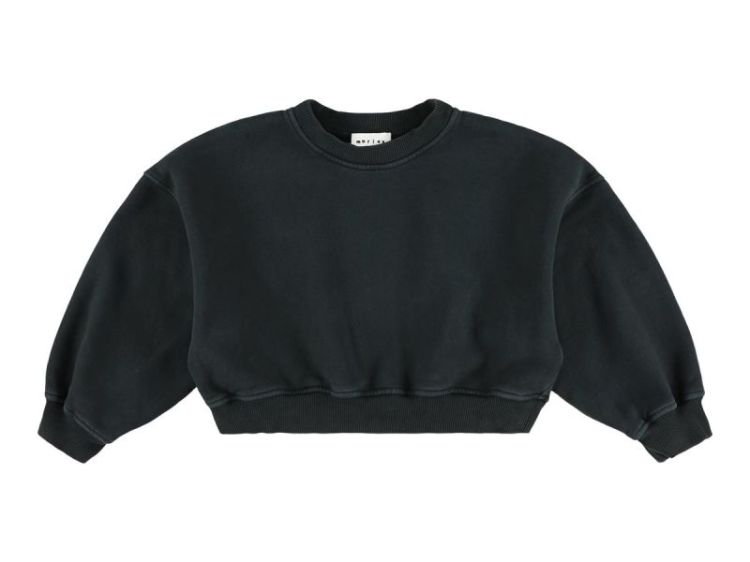 sweatshirt - bleu