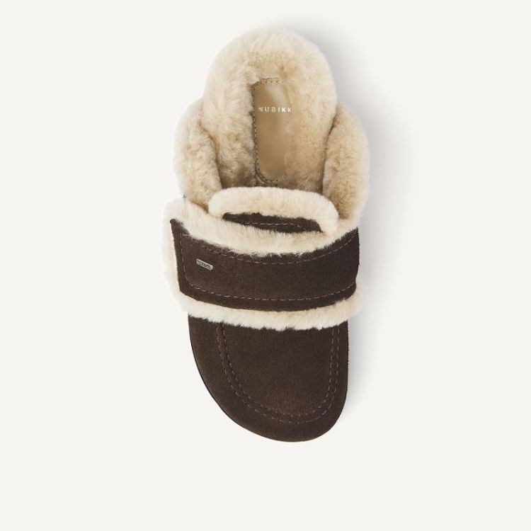 Teddy Furry 285 Dk Brown Su